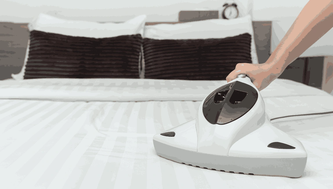 Professional Mattress Cleaning Freshwater Creek