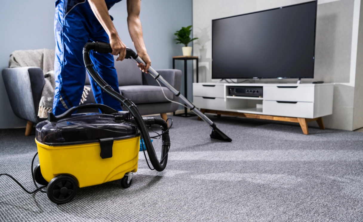 Extract Mattress Cleaning Freshwater Creek Contact Office